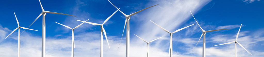 Renewable Energy Case Studies